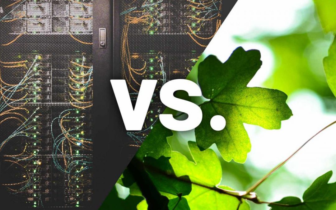 Ökologische Digitalpolitik