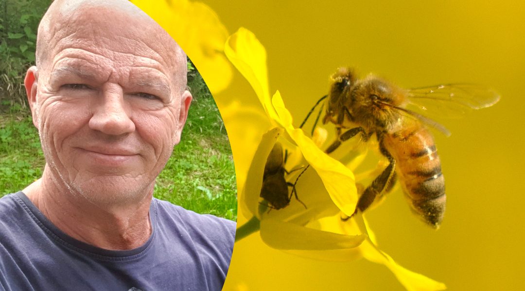 Gesunderhaltung der Bienen liberalisieren!