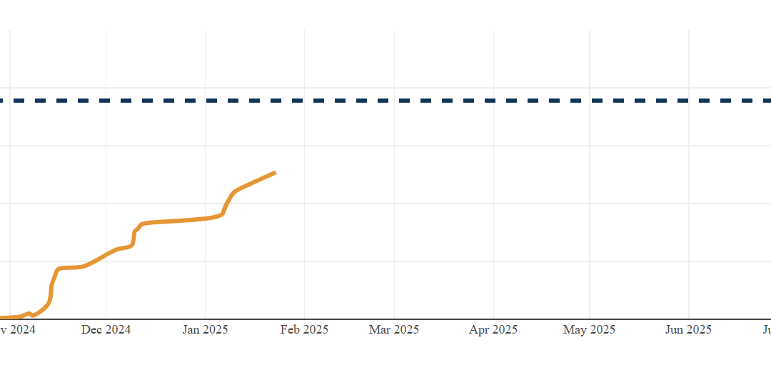 Warum die LD nicht auf dem Wahlzettel zur Bundestagswahl 2025 stehen werden