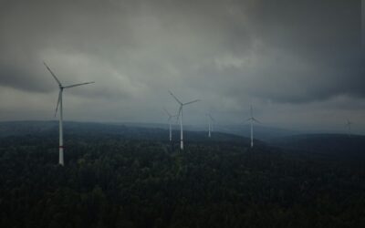 Hört endlich auf die Wirtschaft mit weniger Klimaschutz zu belasten!