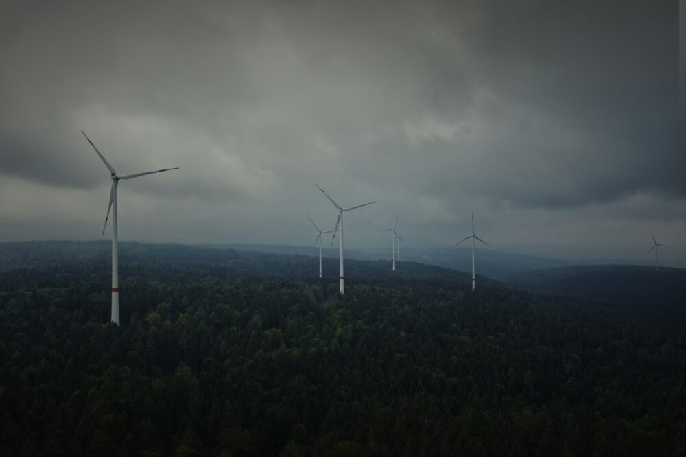 Hört endlich auf die Wirtschaft mit weniger Klimaschutz zu belasten!